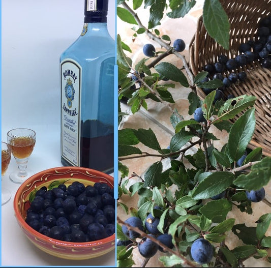 Sloe Gin