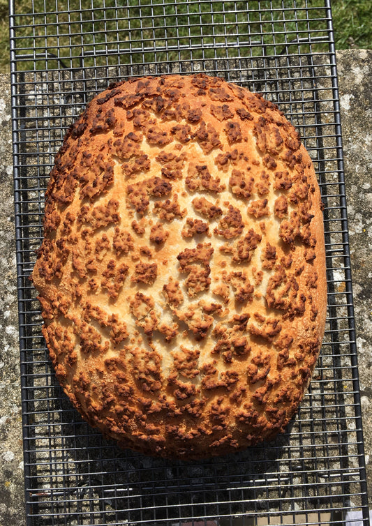 Crusty Topper Bloomer - Tiger Bread