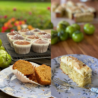 Green Tomato Cakes