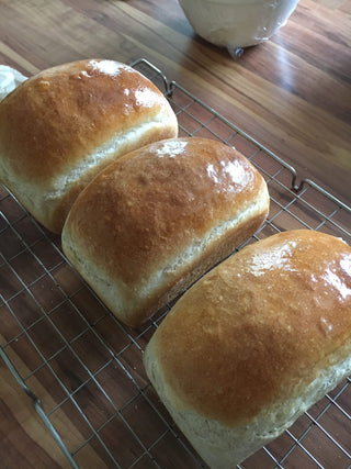 Soft White Bread
