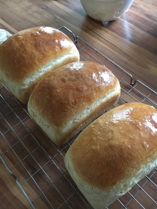 Soft White Bread