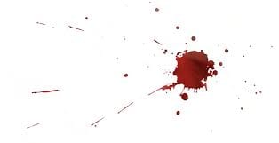Removal of Blood Stains